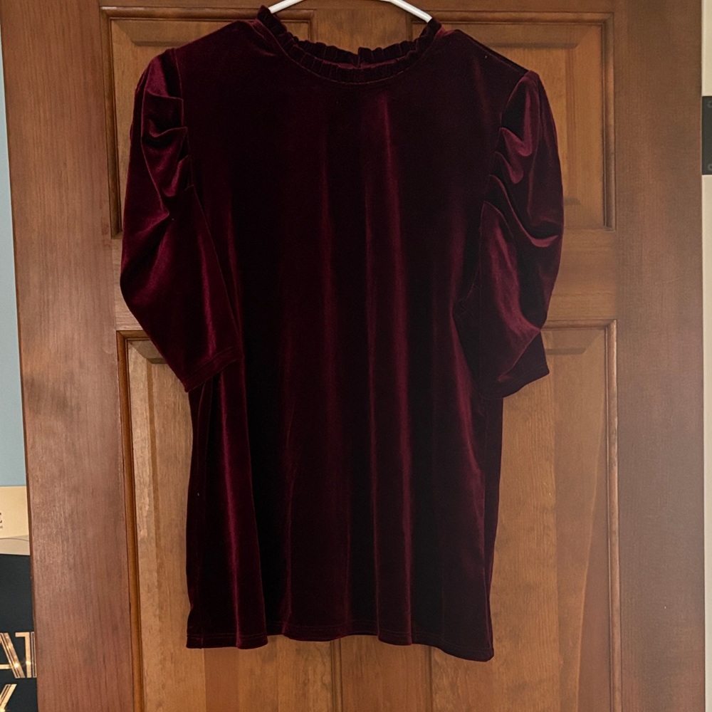 Elegant Velvet Burgundy Top